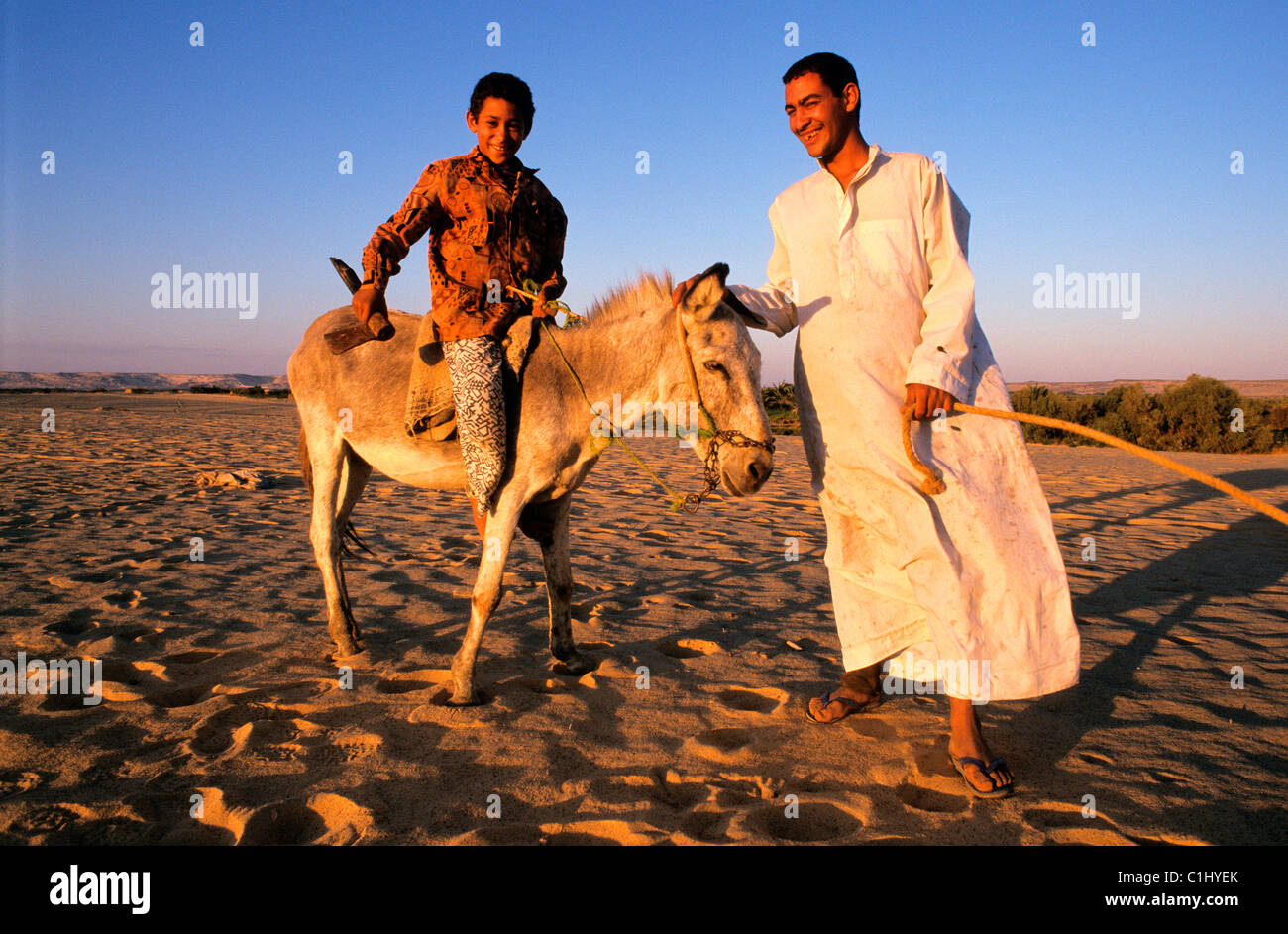 Egypt, libyc desert, the oasis of Bahariya Stock Photo - Alamy