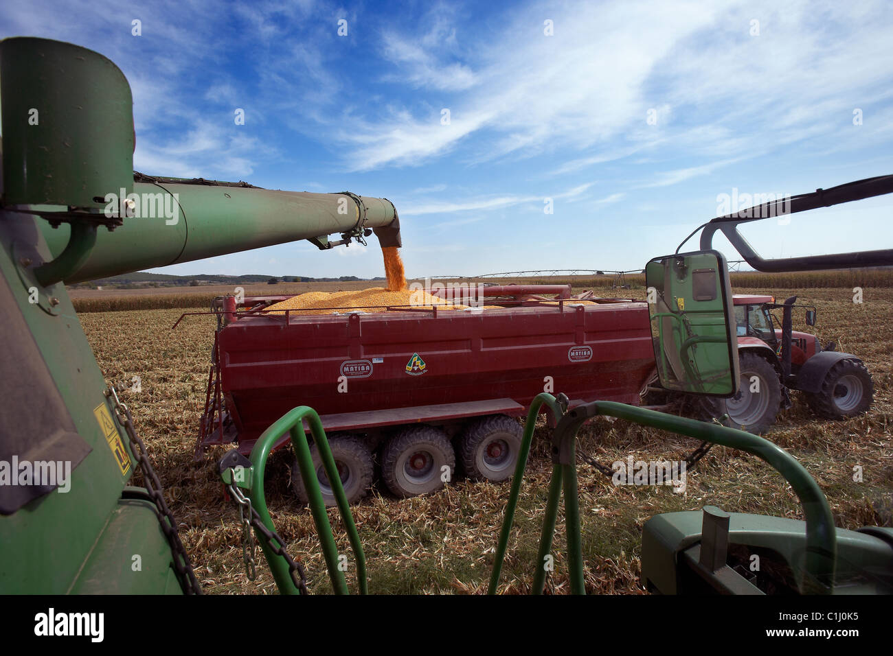 Combine harvester on field of corn unloading maize on a tow Stock Photo