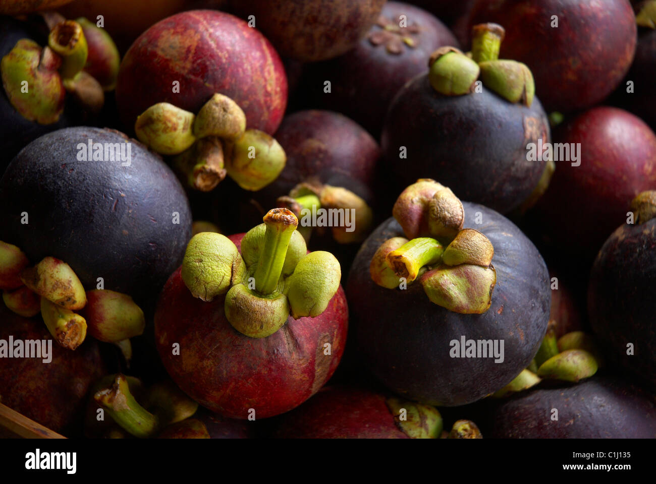 Purple Mangosteen fruit Stock Photo