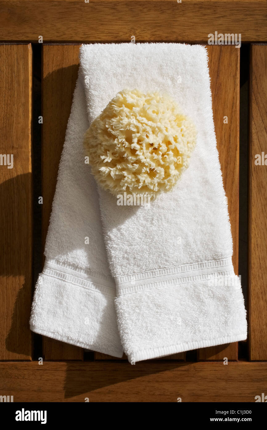 Hand Towel and Bath Sponge Stock Photo Alamy