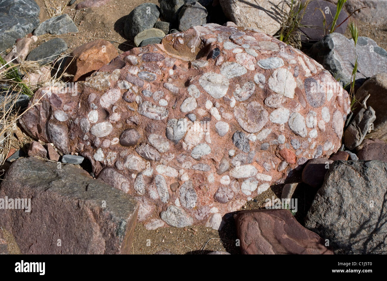 conglomerate rock showing the many smaller rocks the compose it Stock Photo