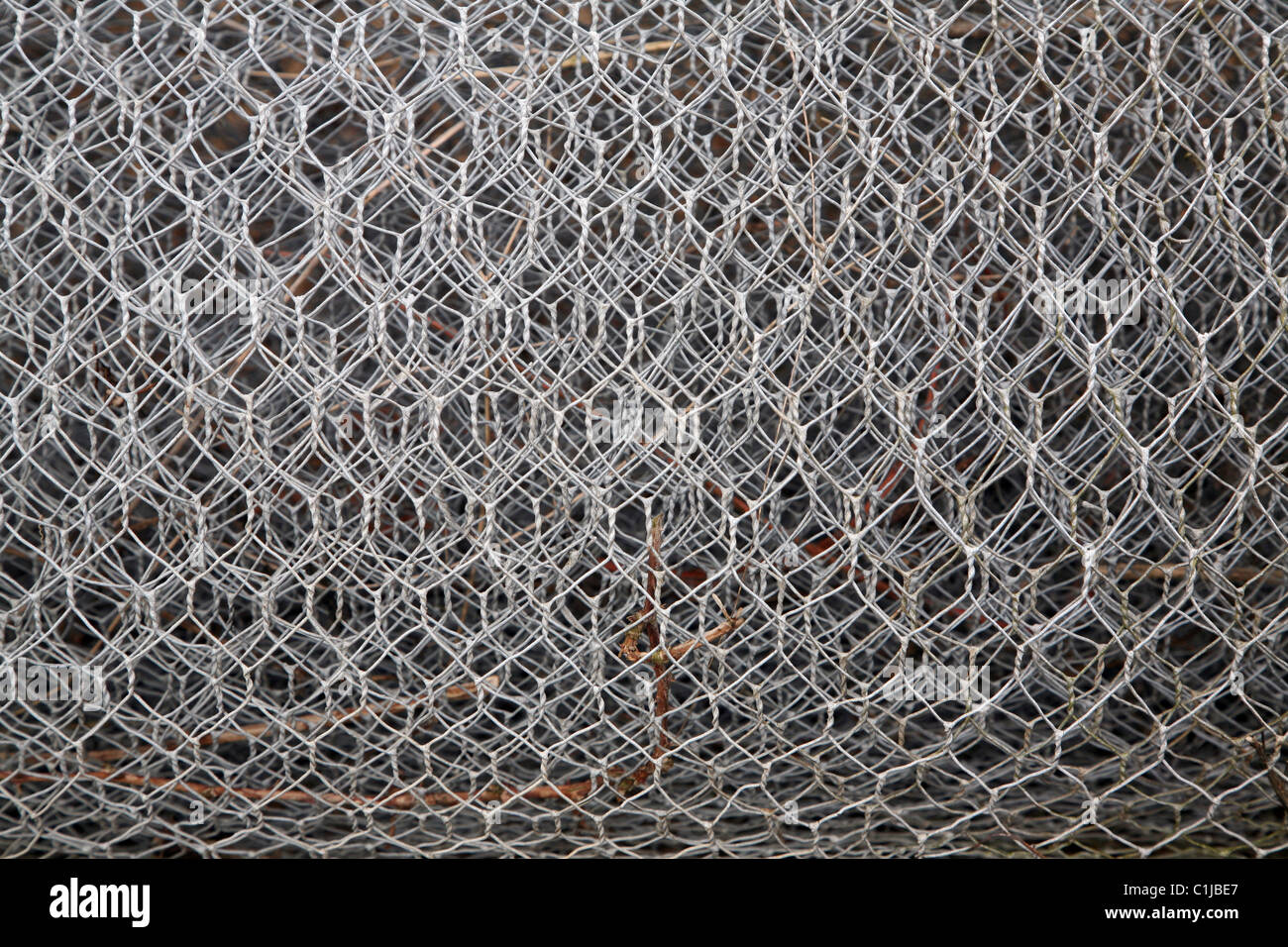 Close up chicken wire roll Stock Photo
