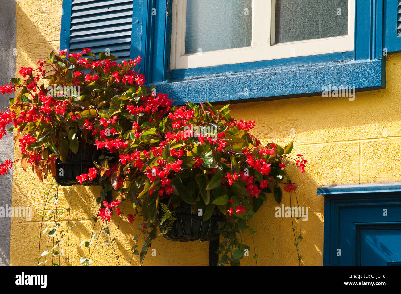Windon flower boxes, old city, Quebec City, Quebec Stock Photo Alamy