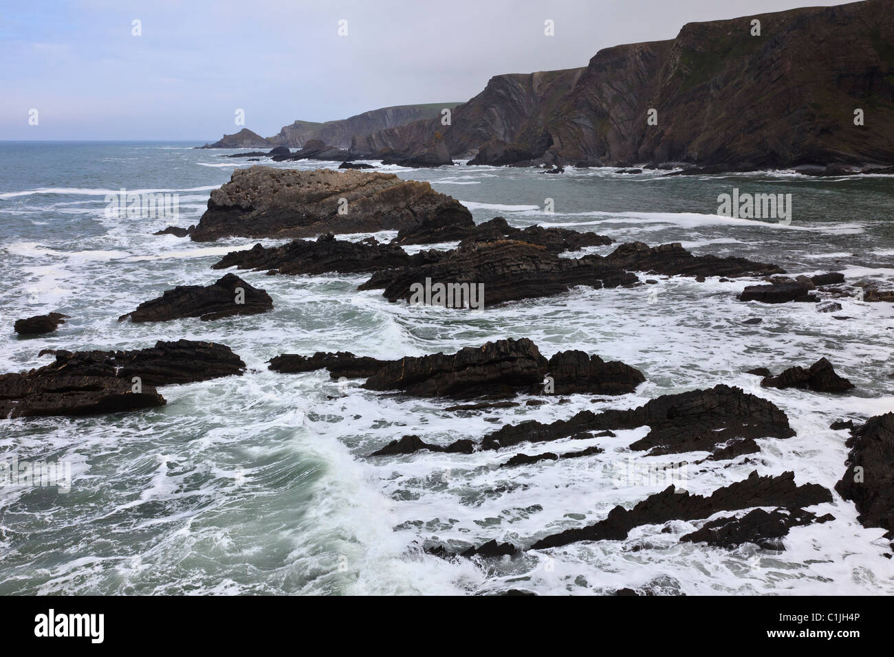 The wild, rocky coast at Hartland Quay, Devon, England Stock Photo - Alamy