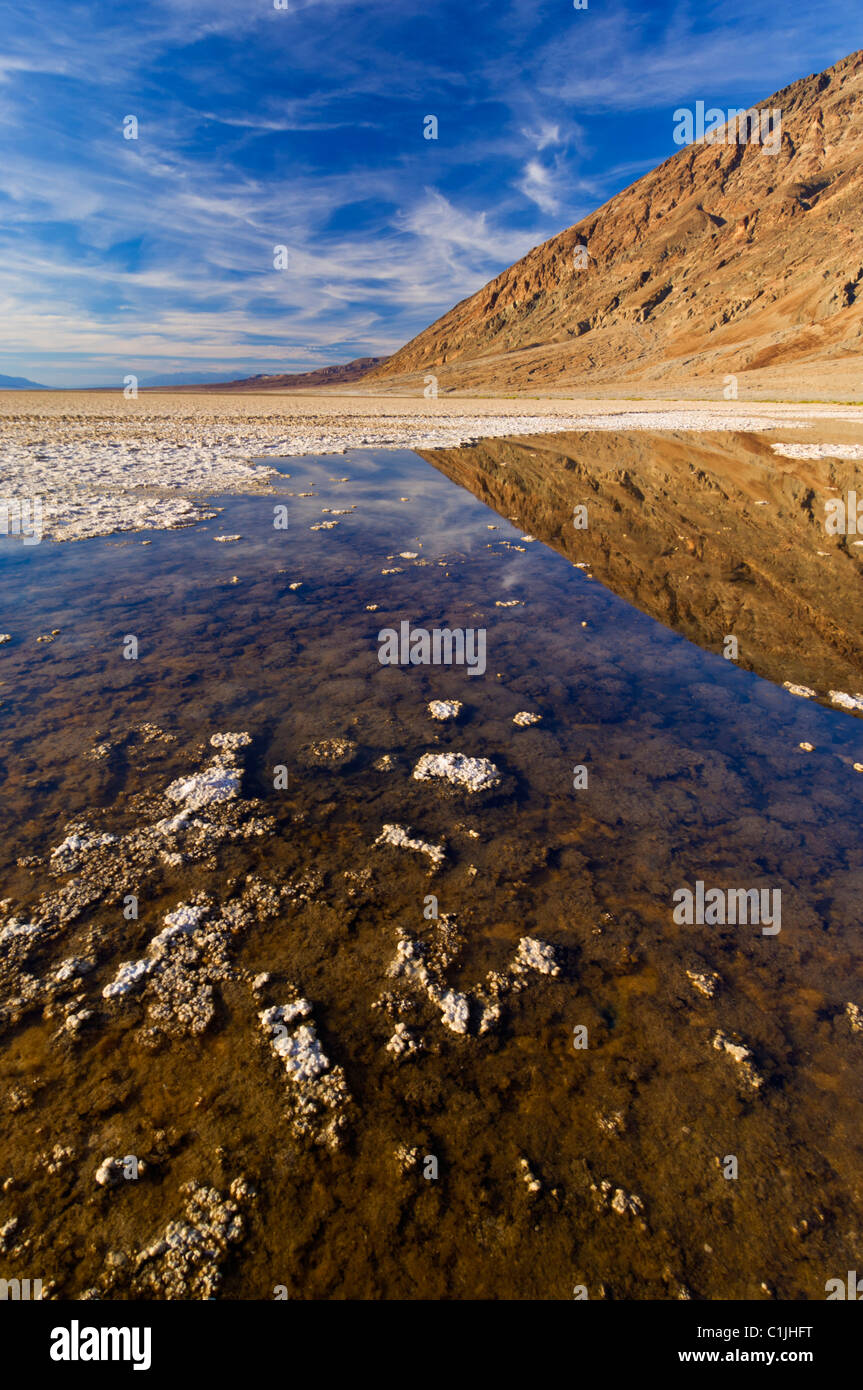 Springfed pool at the Salt pan polygons Badwater Basin  'Death Valley National Park' California North America USA Stock Photo