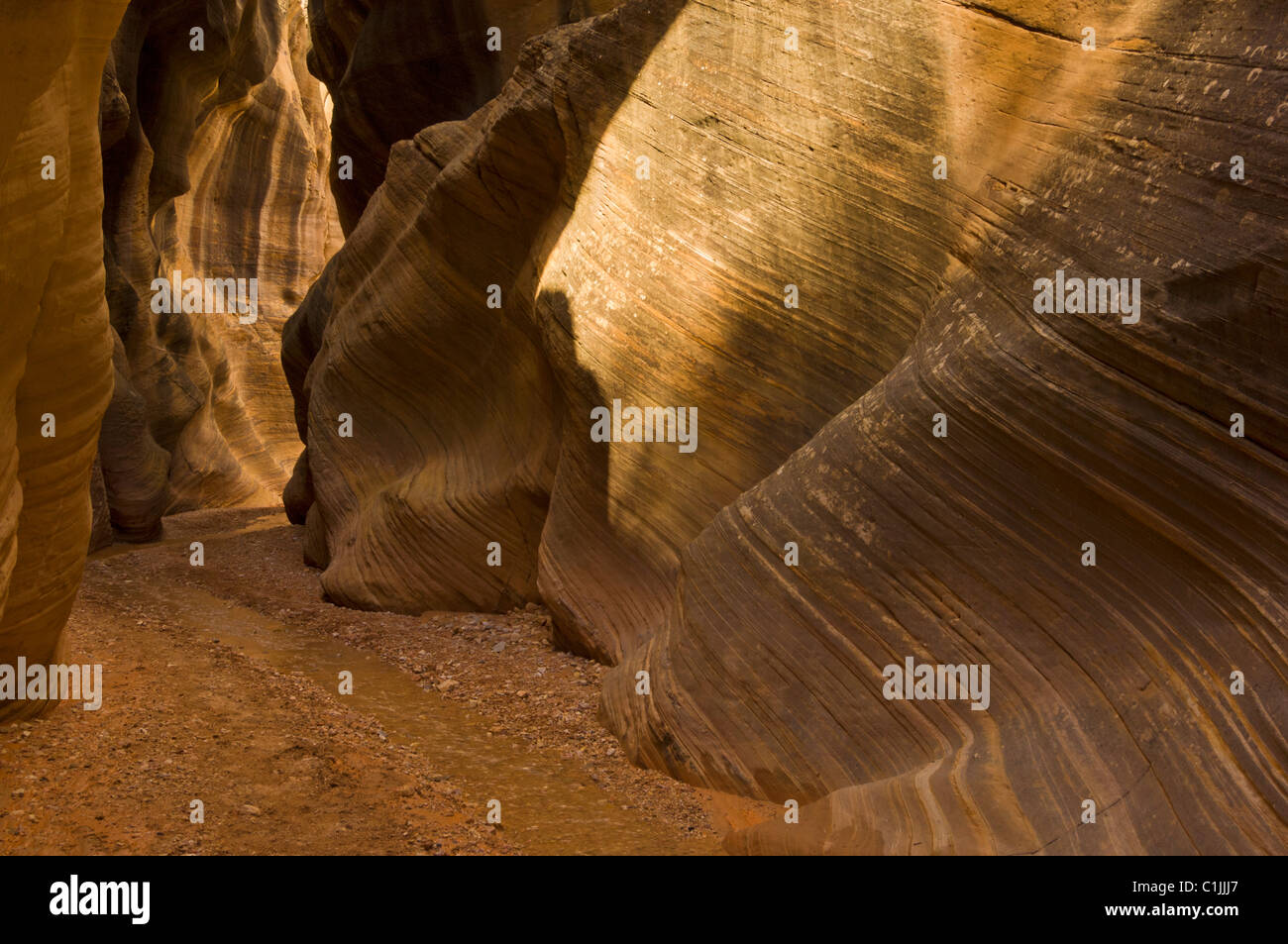 Grand Staircase Escalante Eroded entrada sandstone slot canyon Willis
