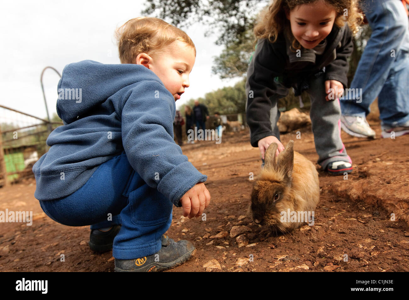 Toddler with a rabbit at a petting corner in a children's zoo Stock