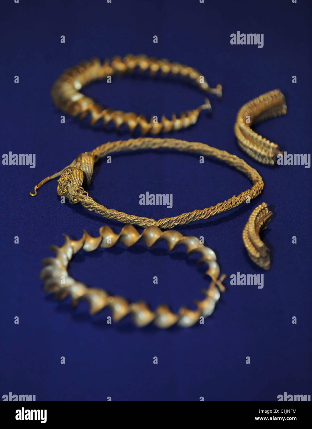Iron age gold hoard found in Stirlingshire by local man David Booth gold torcs dating from 300-100 BC on his 1st outing Stock Photo