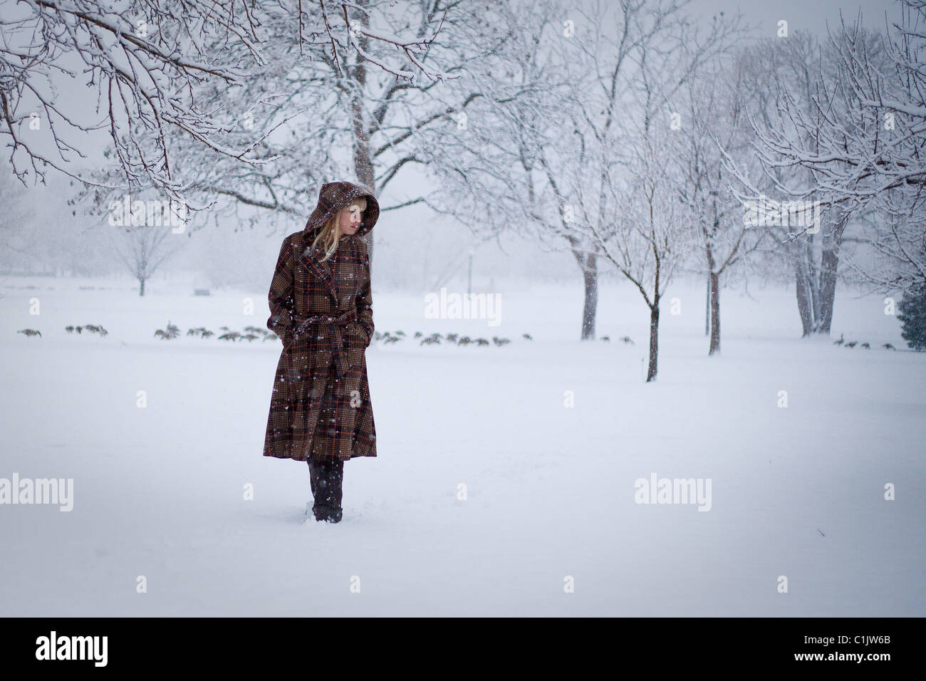 woman in snow storm Stock Photo - Alamy
