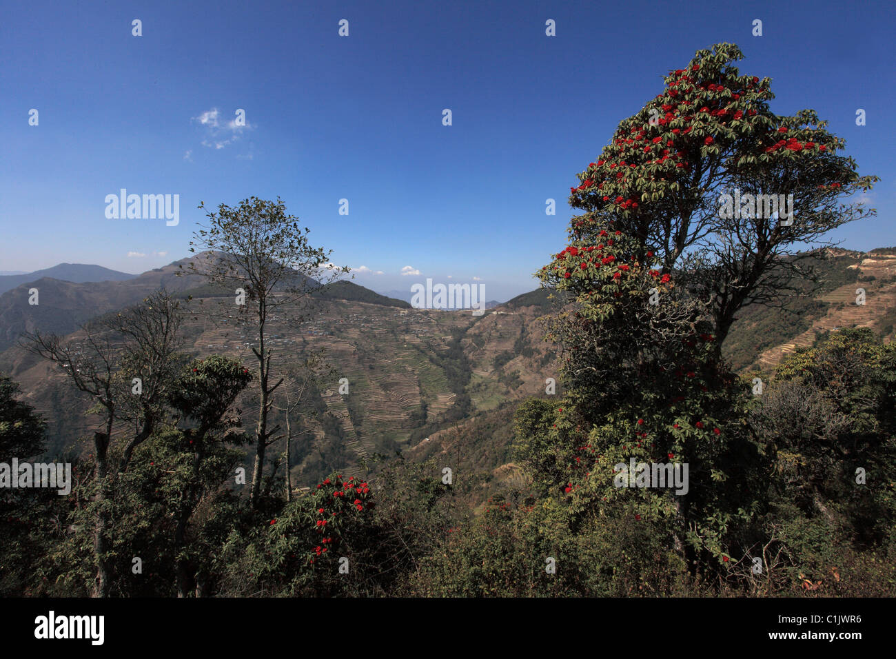 Landscape in the Nepali hills Stock Photo
