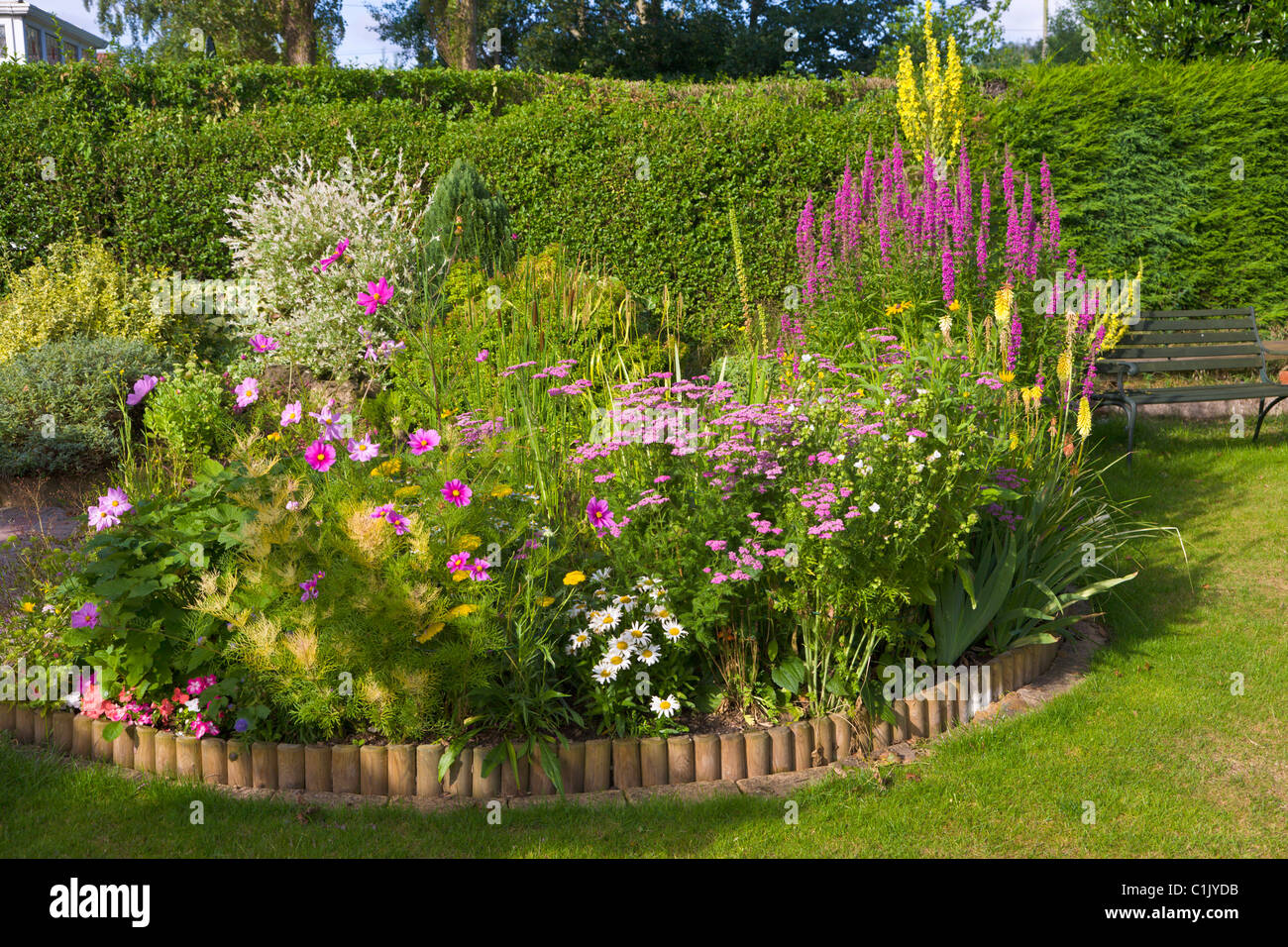 Garden herbaceous border in summer Stock Photo