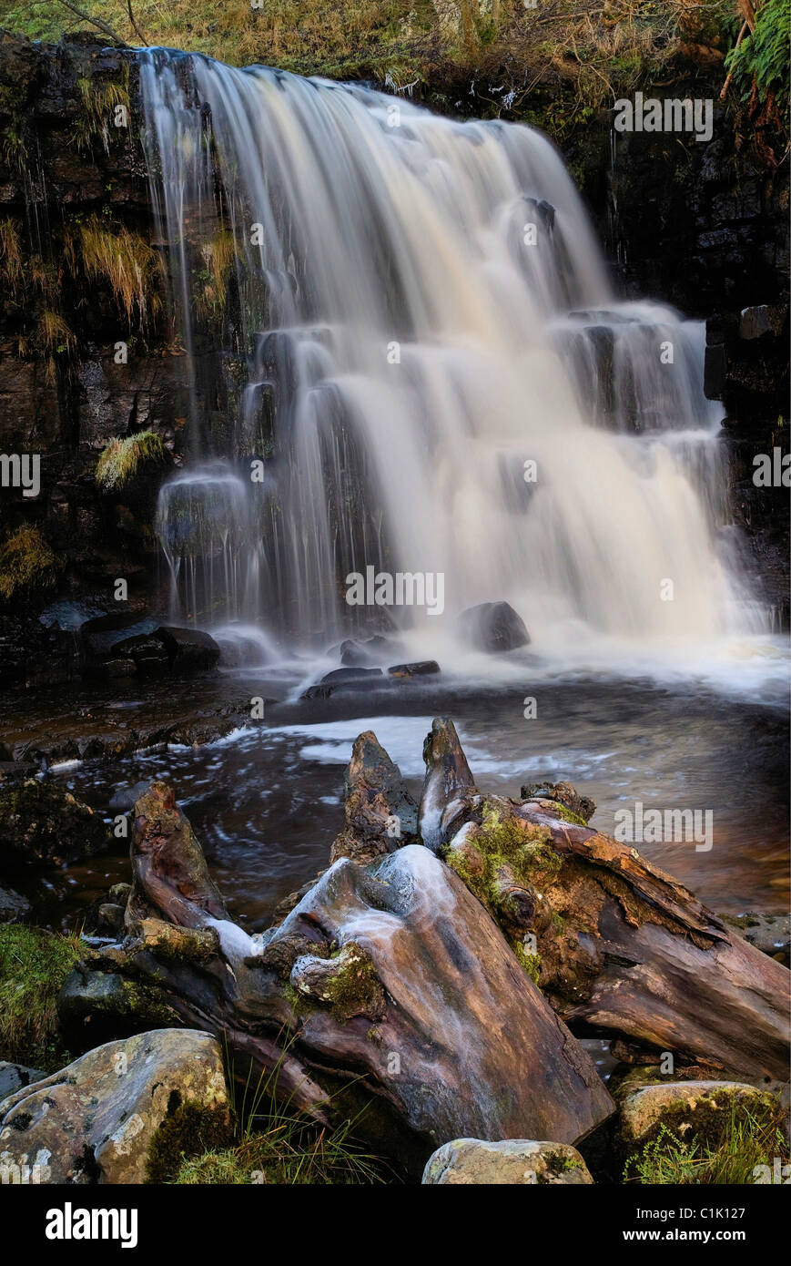 East Gill Force, Keld in Yorkshire Stock Photo