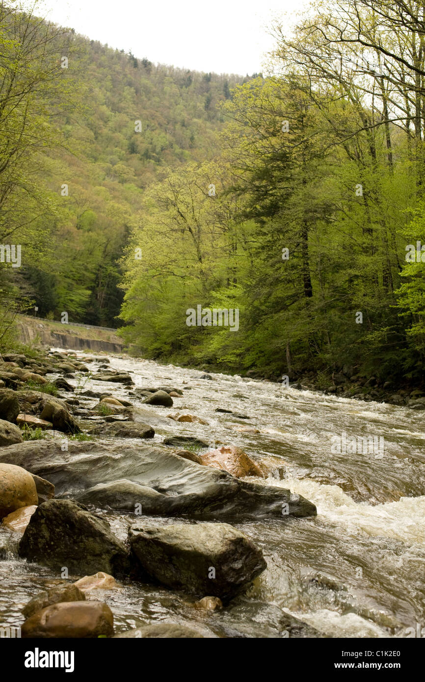 Early spring at Cold River in western Massachusetts, off Route 2, the Mohawk Trail in Charlemont. Stock Photo