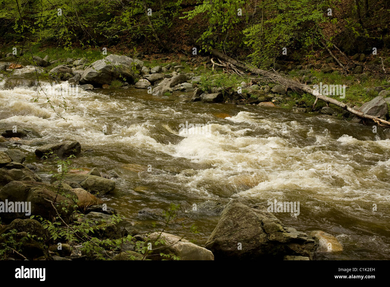 Early spring at Cold River in western Massachusetts, off Route 2, the