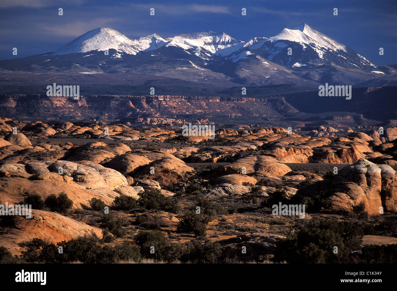 United States, Utah, Arches National Park, Petrified dunes Stock Photo