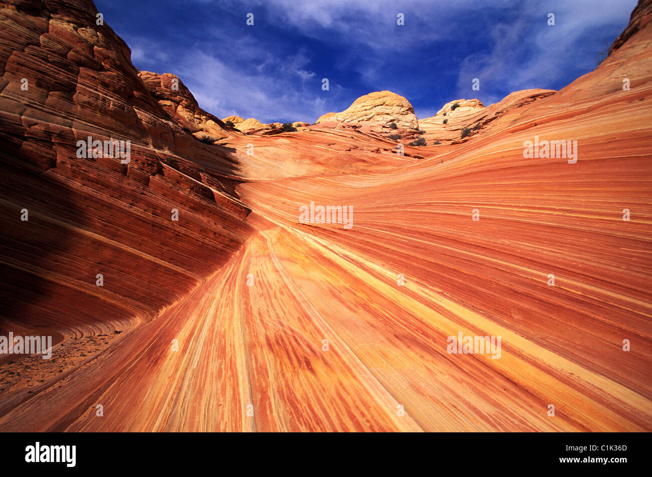 United States, Utah, Canyon Paria, Vermilion cliffs wilderness Stock ...