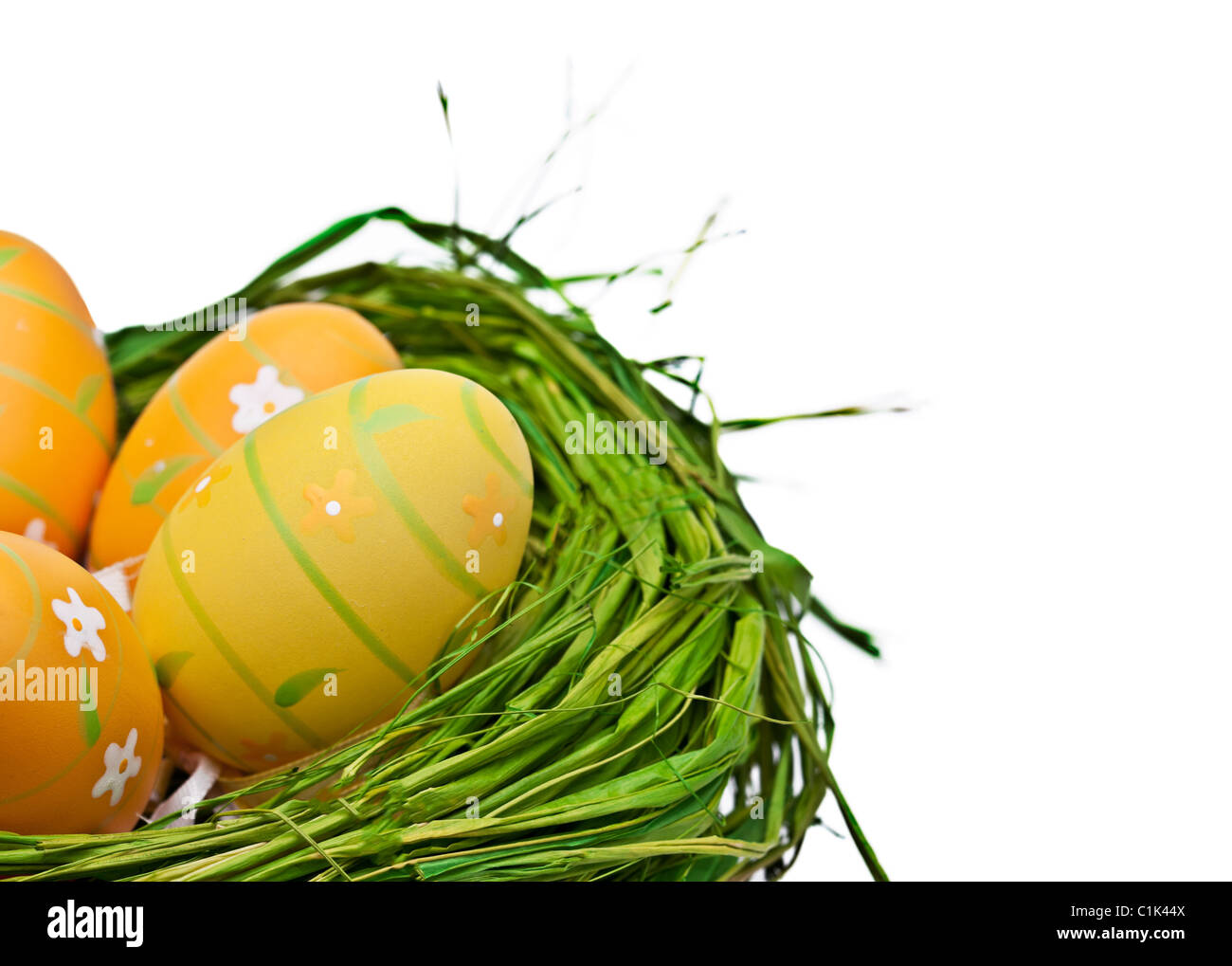 Nest full of eggs. Isolated on a white background Stock Photo - Alamy
