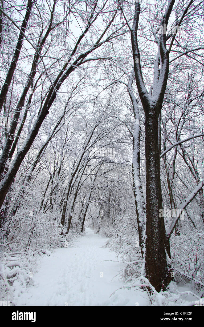 Rock Cut State Park Stock Photo Alamy