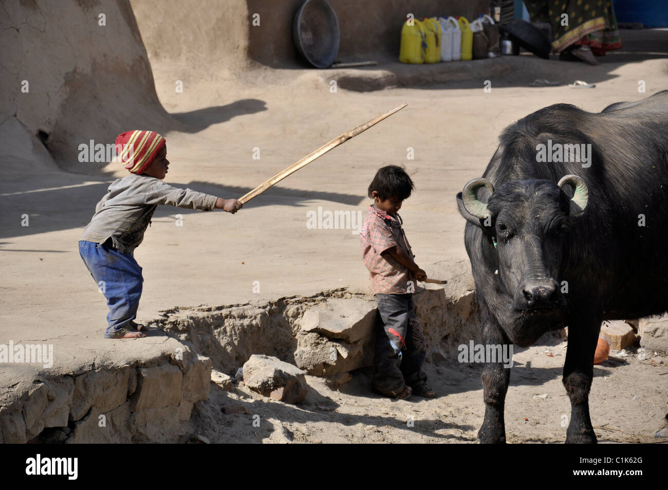 One small boy showing a stick to a Buffalo in rural India Stock Photo