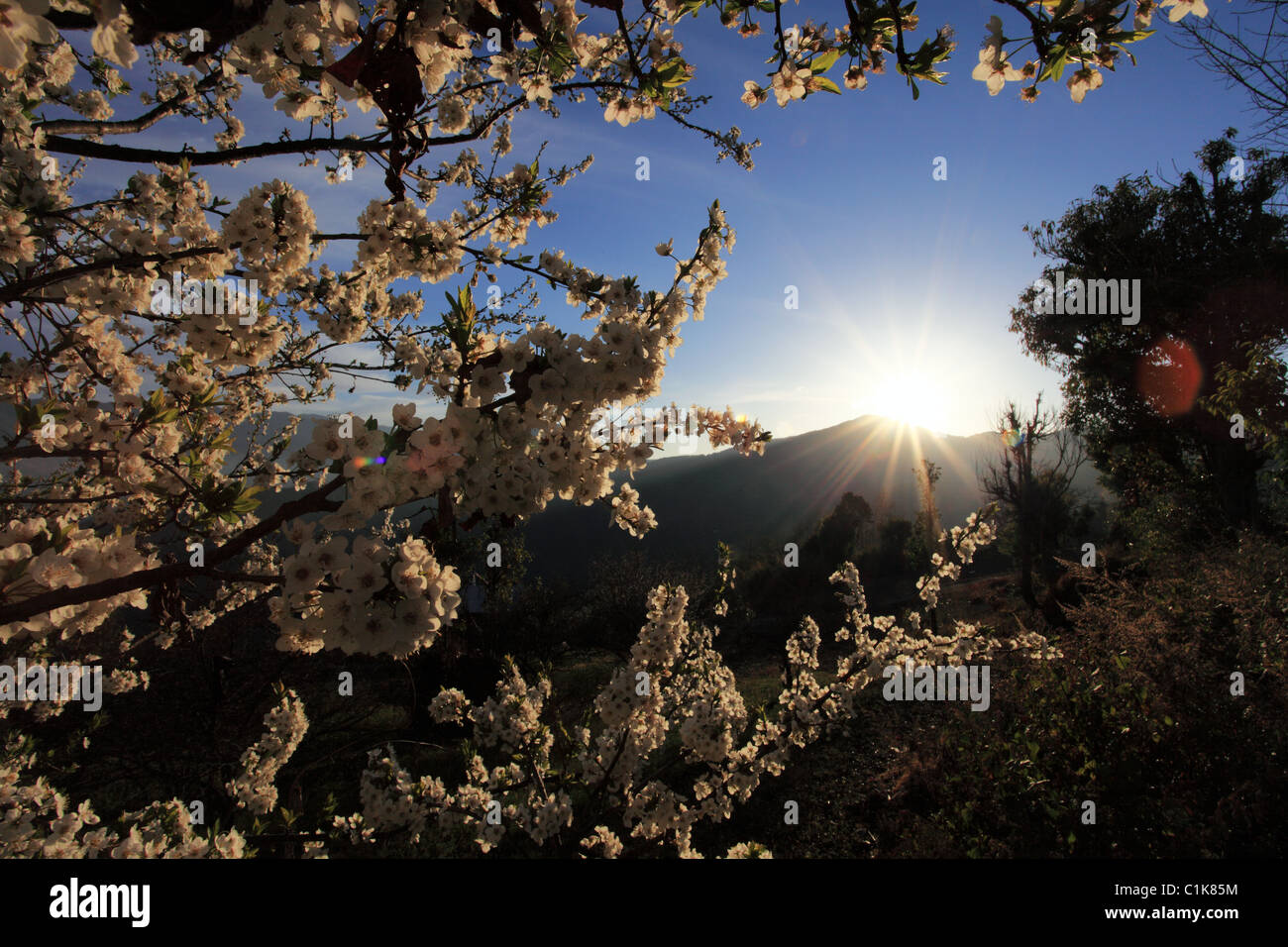 Nepali landscape Nepal Himalaya Stock Photo