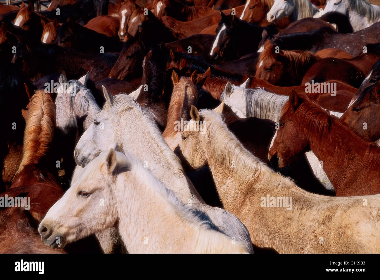 Mantles hi-res stock photography and images - Alamy
