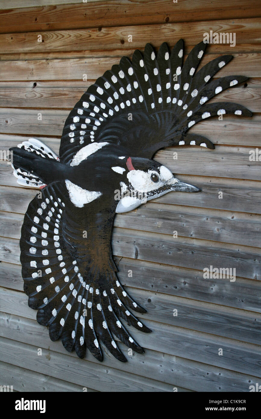 Great Spotted Woodpecker Carving On A Bird Hide At Lake Vyrnwy RSPB Reserve, Wales Stock Photo