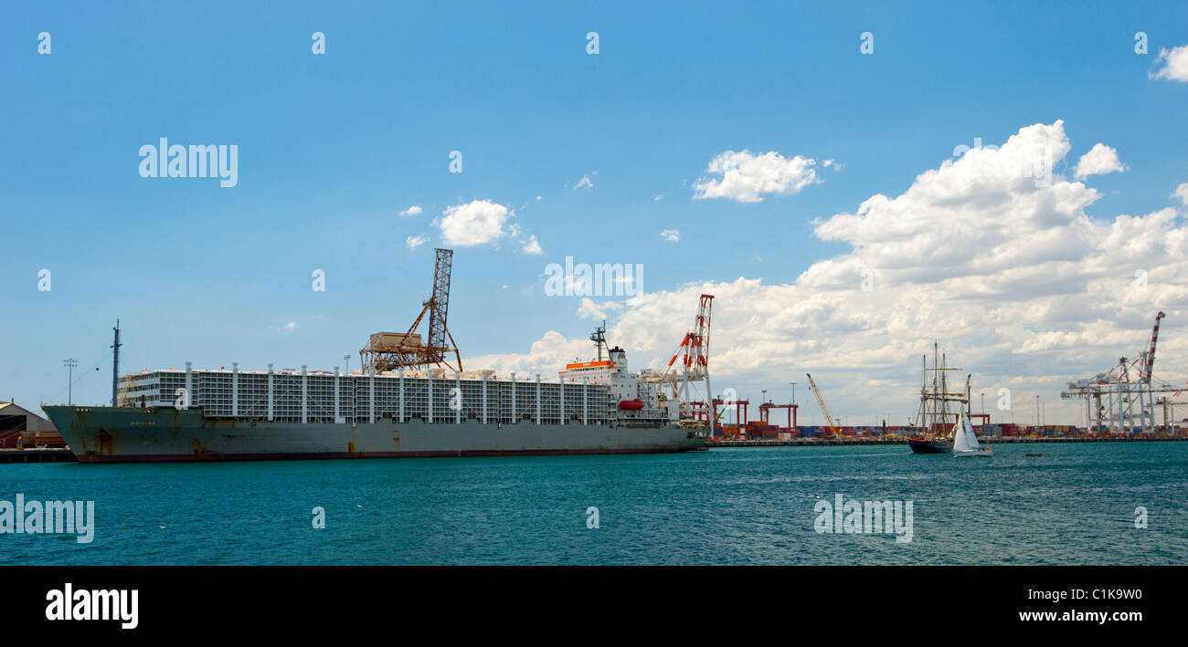 A container ship in the port of Fremantle  Western Australia. Stock Photo