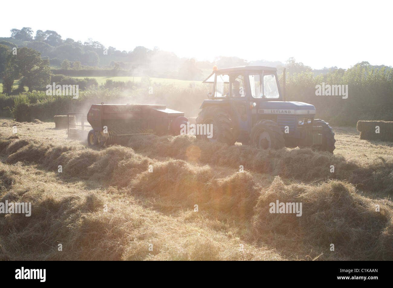 Traditional (Small Bale) haymaking at Ubley Farm in Somerset Stock Photo