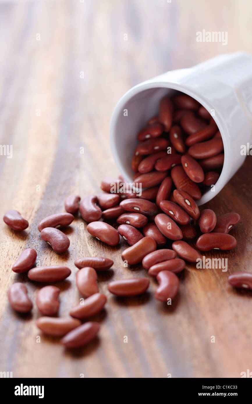 Kidney cup hires stock photography and images Alamy