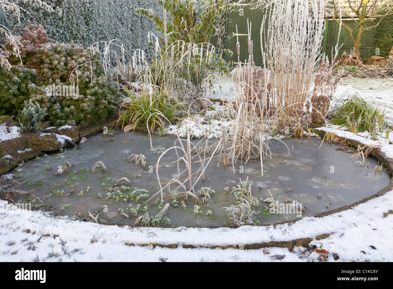 https://c8.alamy.com/comp/C1KC8Y/frozen-garden-pond-in-winter-C1KC8Y.jpg