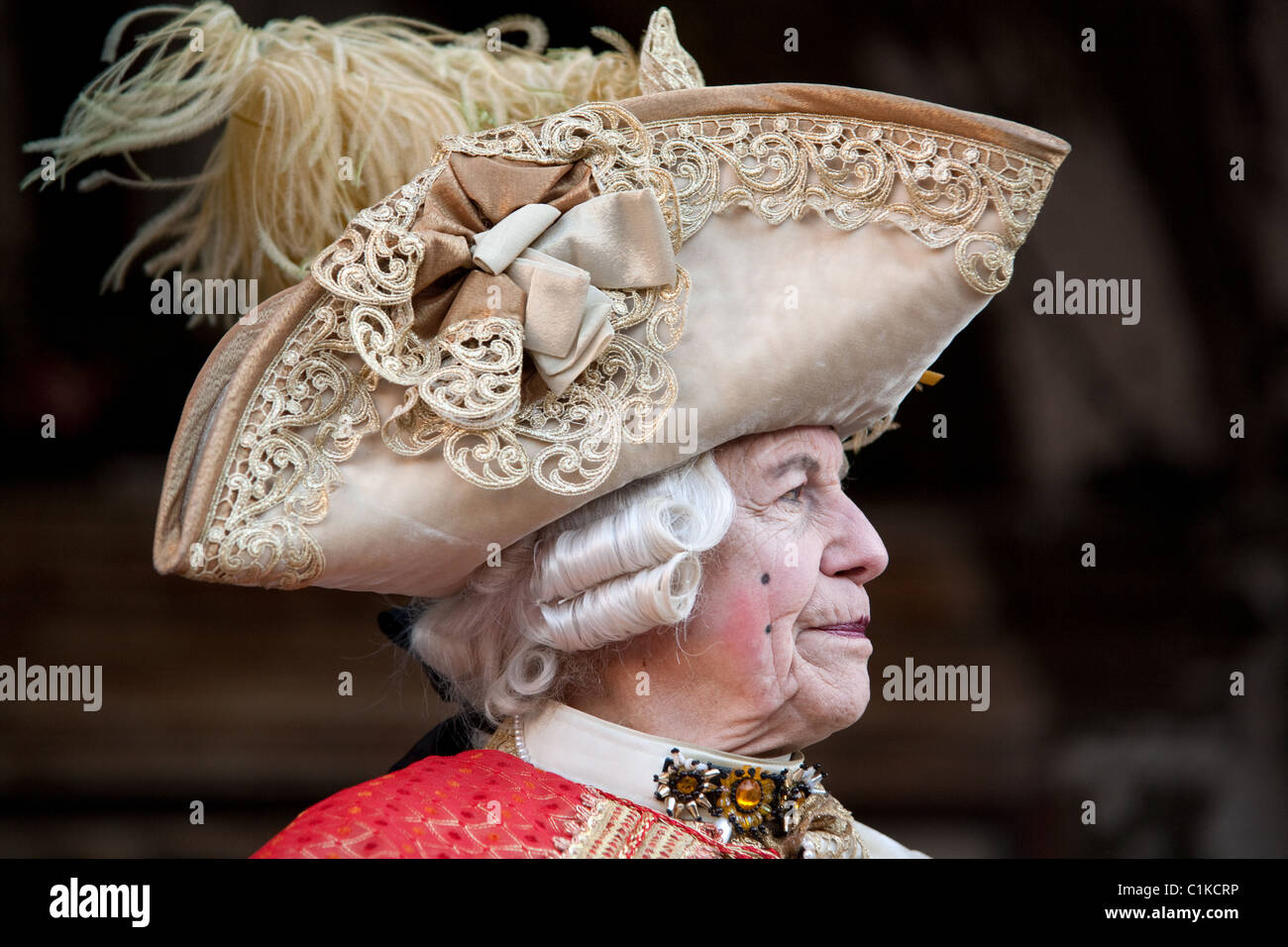 Masquerader in costume, the Venice Carnival, Venice Italy Stock Photo