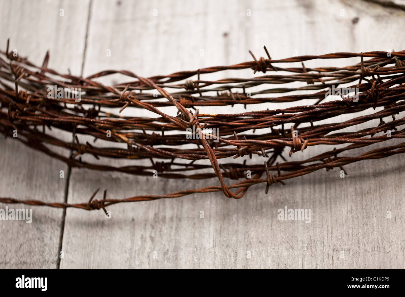 barbed wire canada