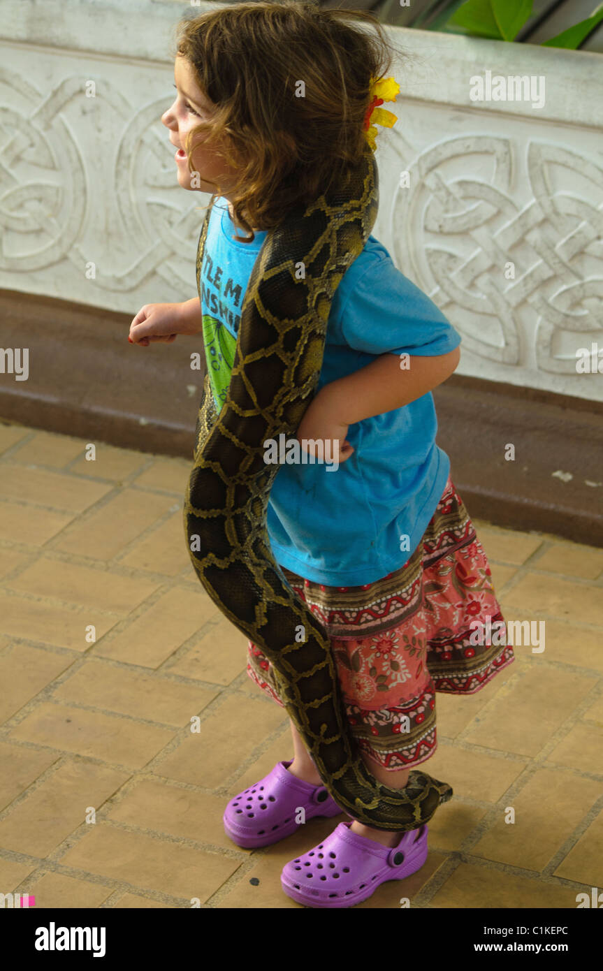 having fun with a Burmese python (Python molurus bivittatus) in ...