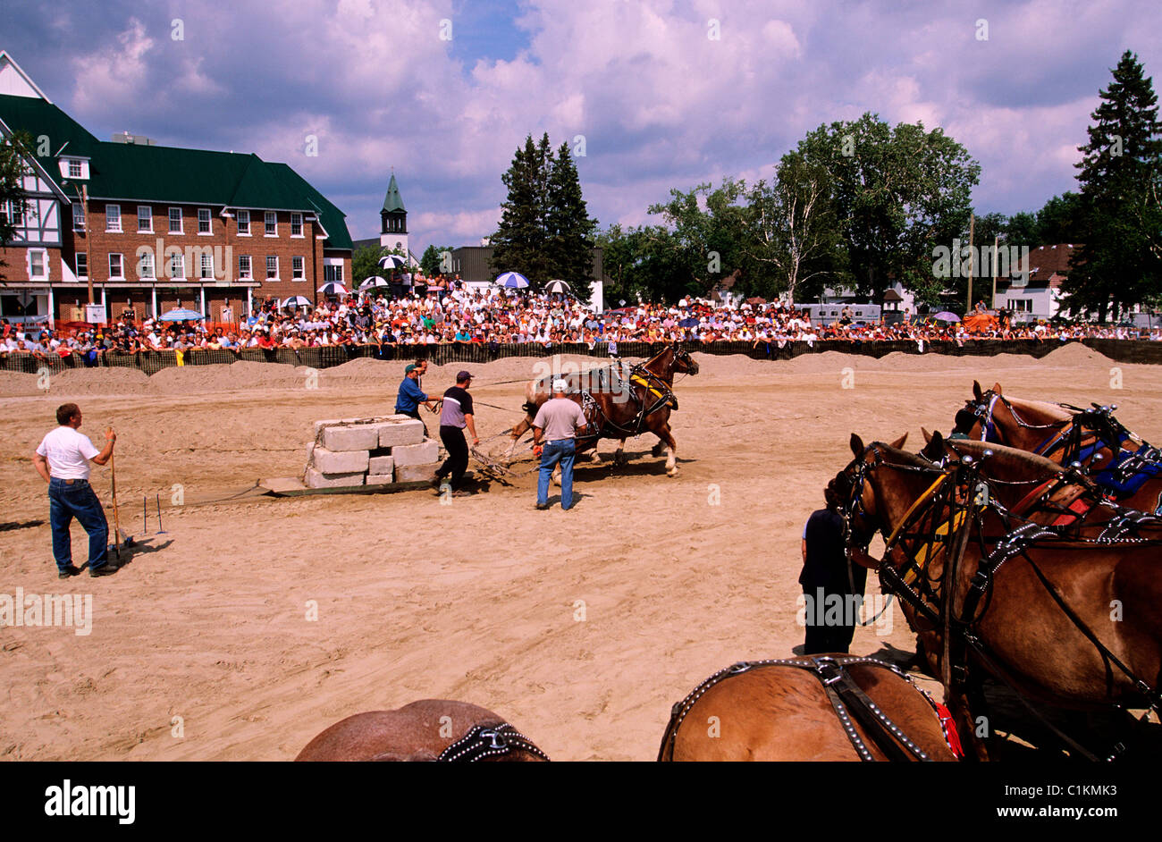 Canada, north Ontario, logger festival at Kapuskasing, draught horses competition Stock Photo