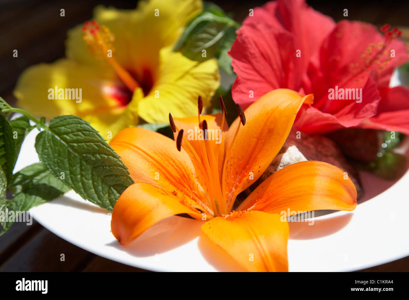 Flower Arrangement on Plate Stock Photo Alamy