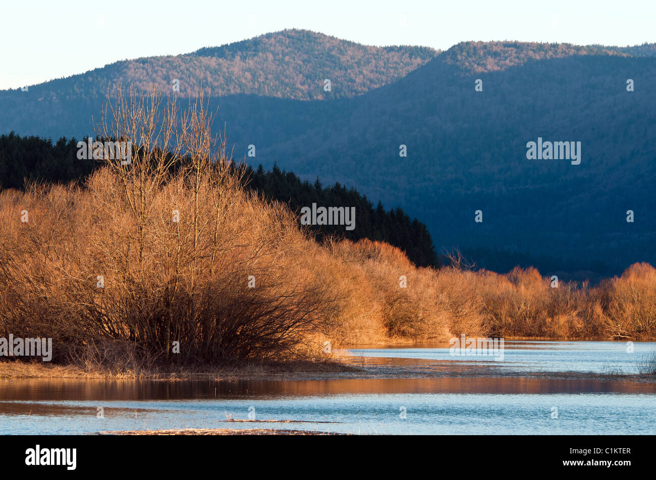 Cerknica lake, Sloveni Stock Photo
