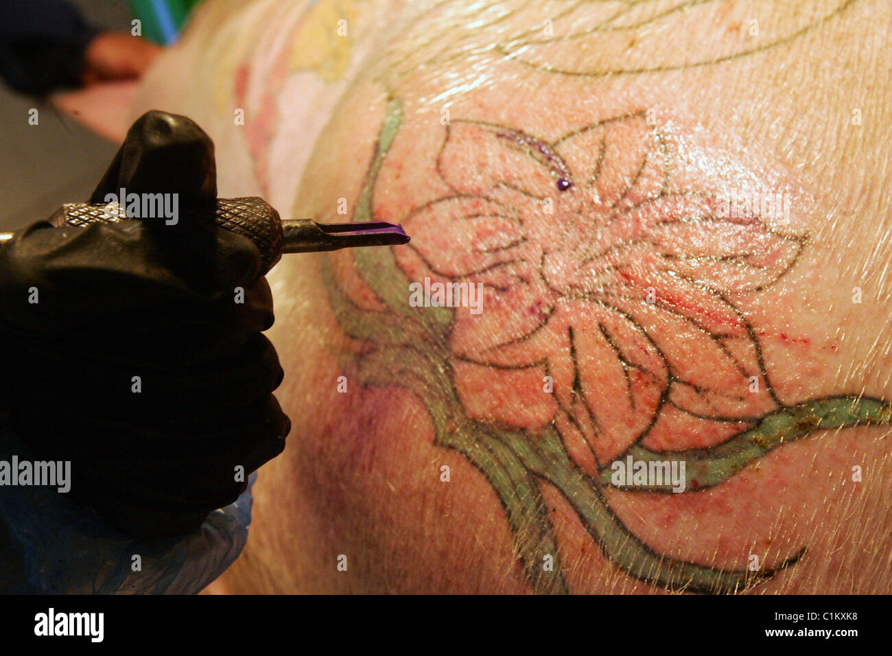 OINK INK! This little piggy went to... the tattoo parlour! Belgian artist Wim Delvoye has turned his 12 porkers into rock stars Stock Photo