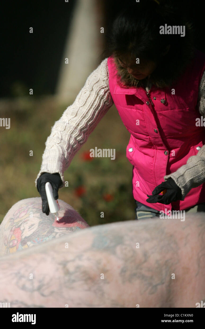 OINK INK! This little piggy went to... the tattoo parlour! Belgian artist Wim Delvoye has turned his 12 porkers into rock stars Stock Photo