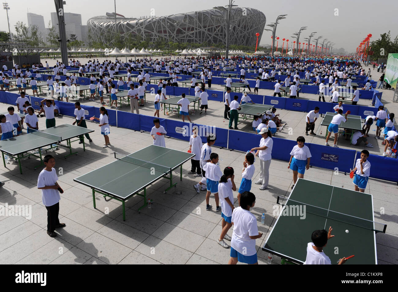 BAT'S JUST CRAZY! Thousands of table tennis fans show their love for the  sport - with a monster rally of games. More than Stock Photo - Alamy