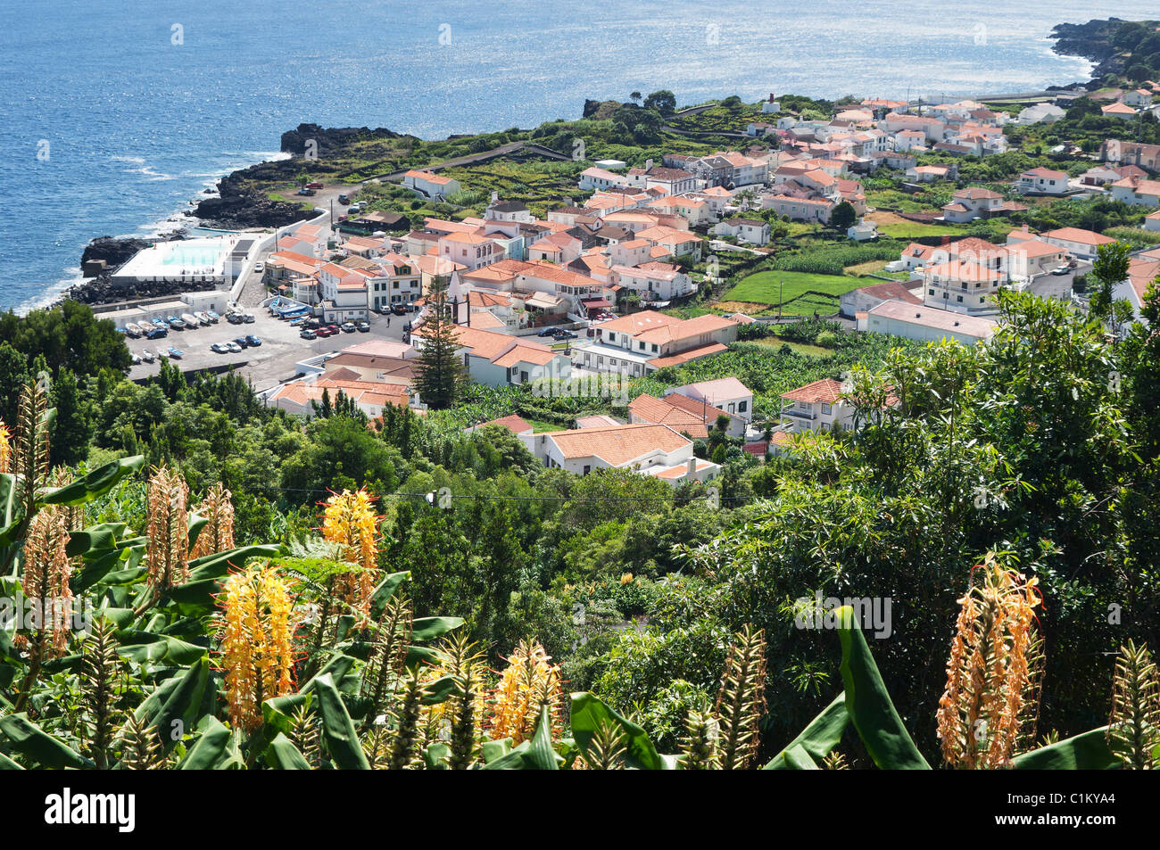 Aerial view of the fishing village of Ribeiras in the south coast of ...