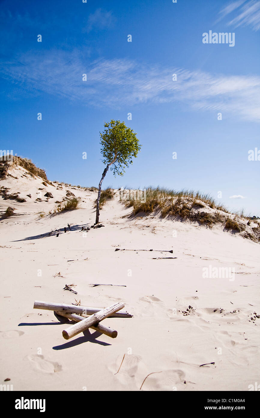 Expensive vacations hi-res stock photography and images - Alamy