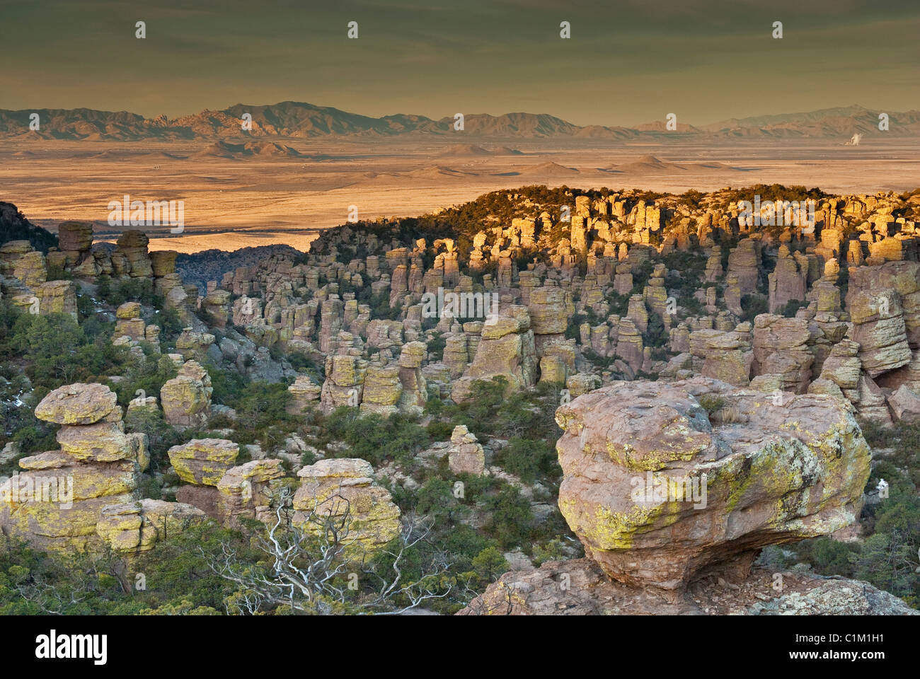 View from Massai Point at Chiricahua National Monument with Sulphur