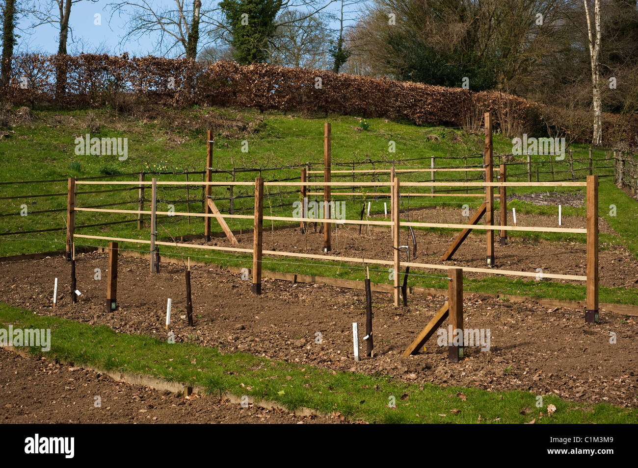 Newly planted Fruit Training Borders at Painswick Rococo Garden in The Cotswolds Stock Photo