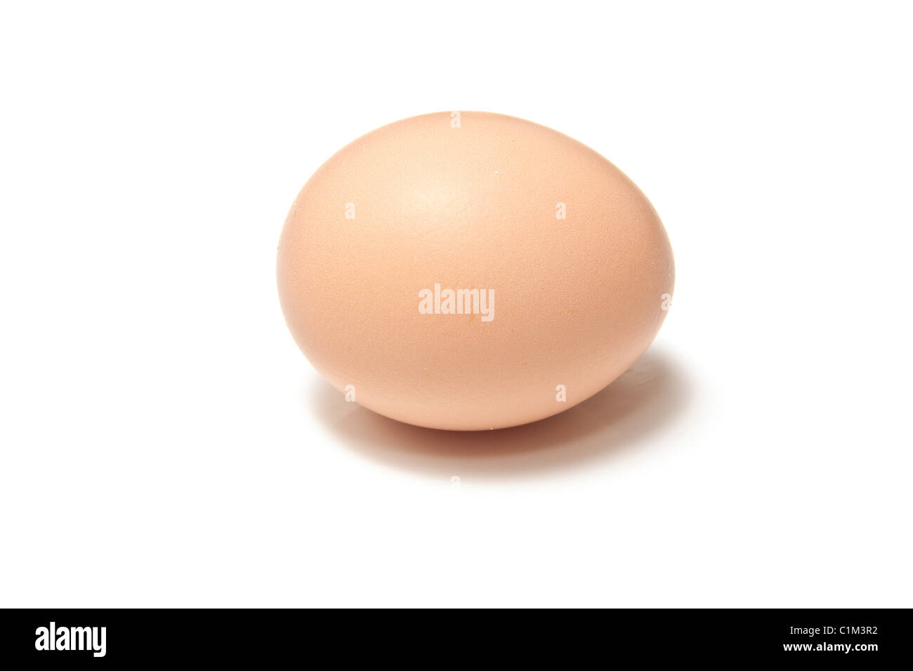 Chicken egg isolated on a white studio background Stock Photo - Alamy
