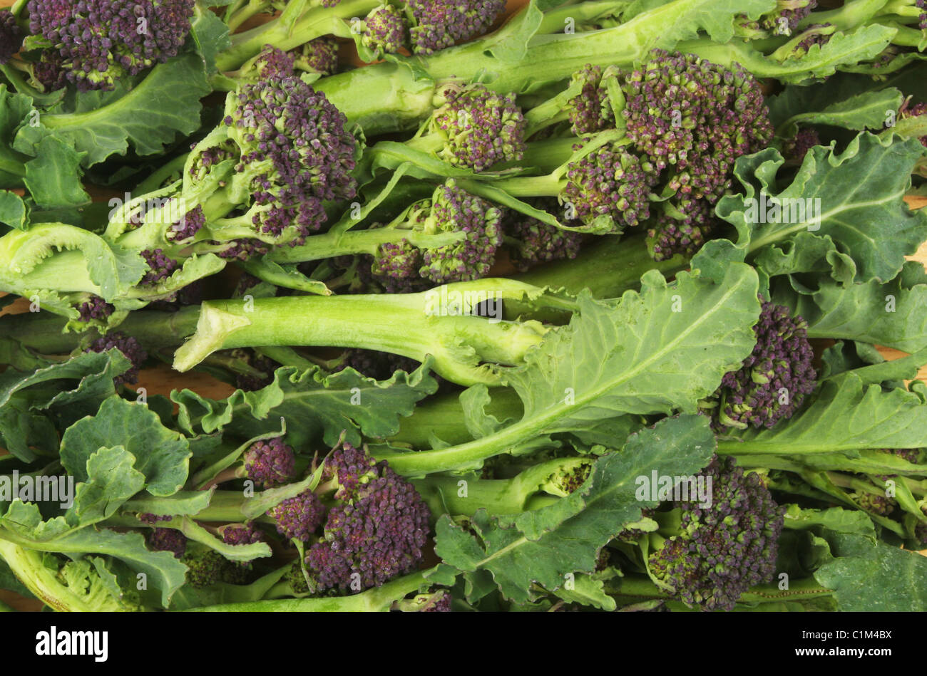 Purple sprouting broccoli florets leaves and stalks Stock Photo Alamy