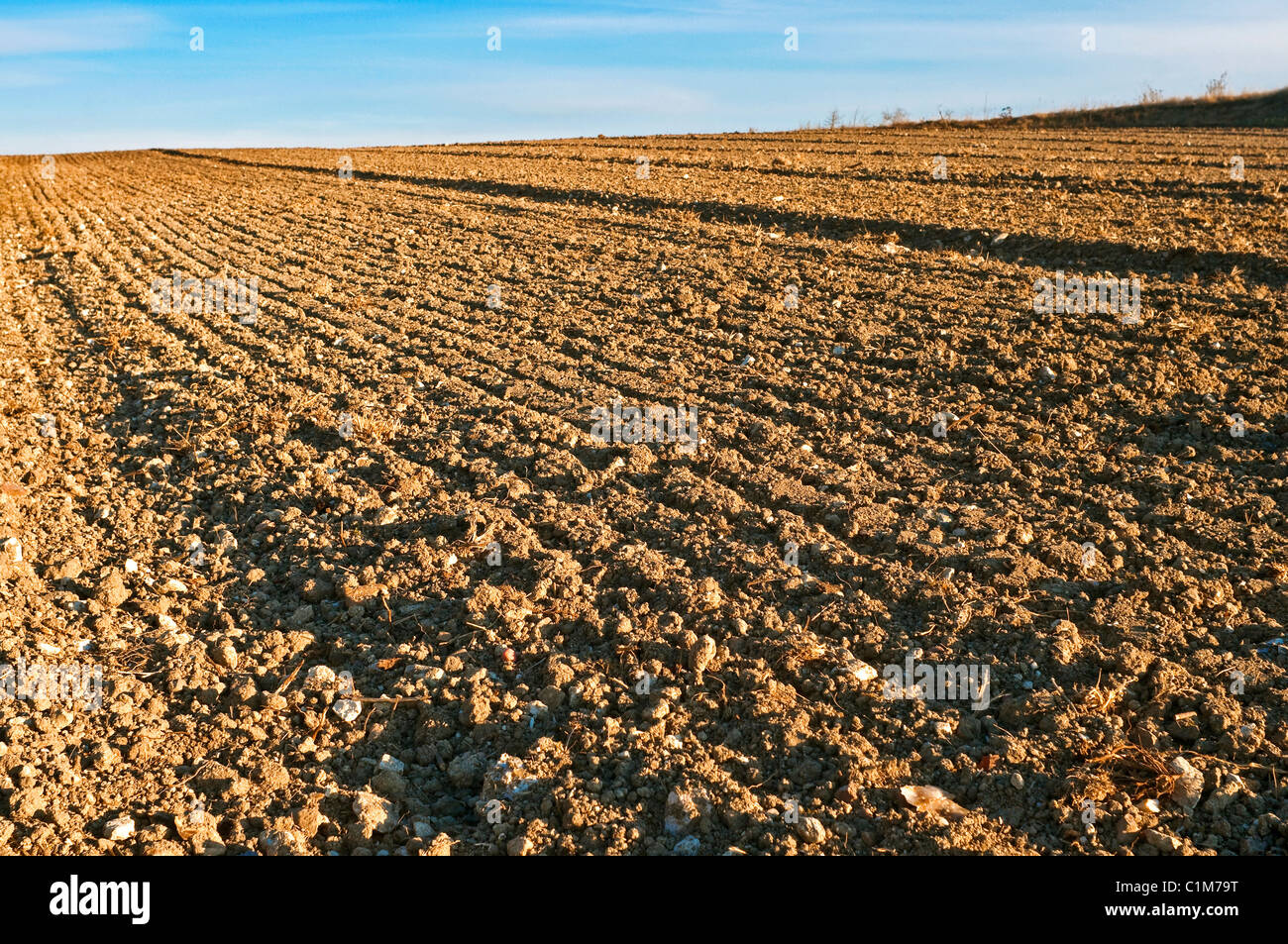 Tilled earth hires stock photography and images Alamy