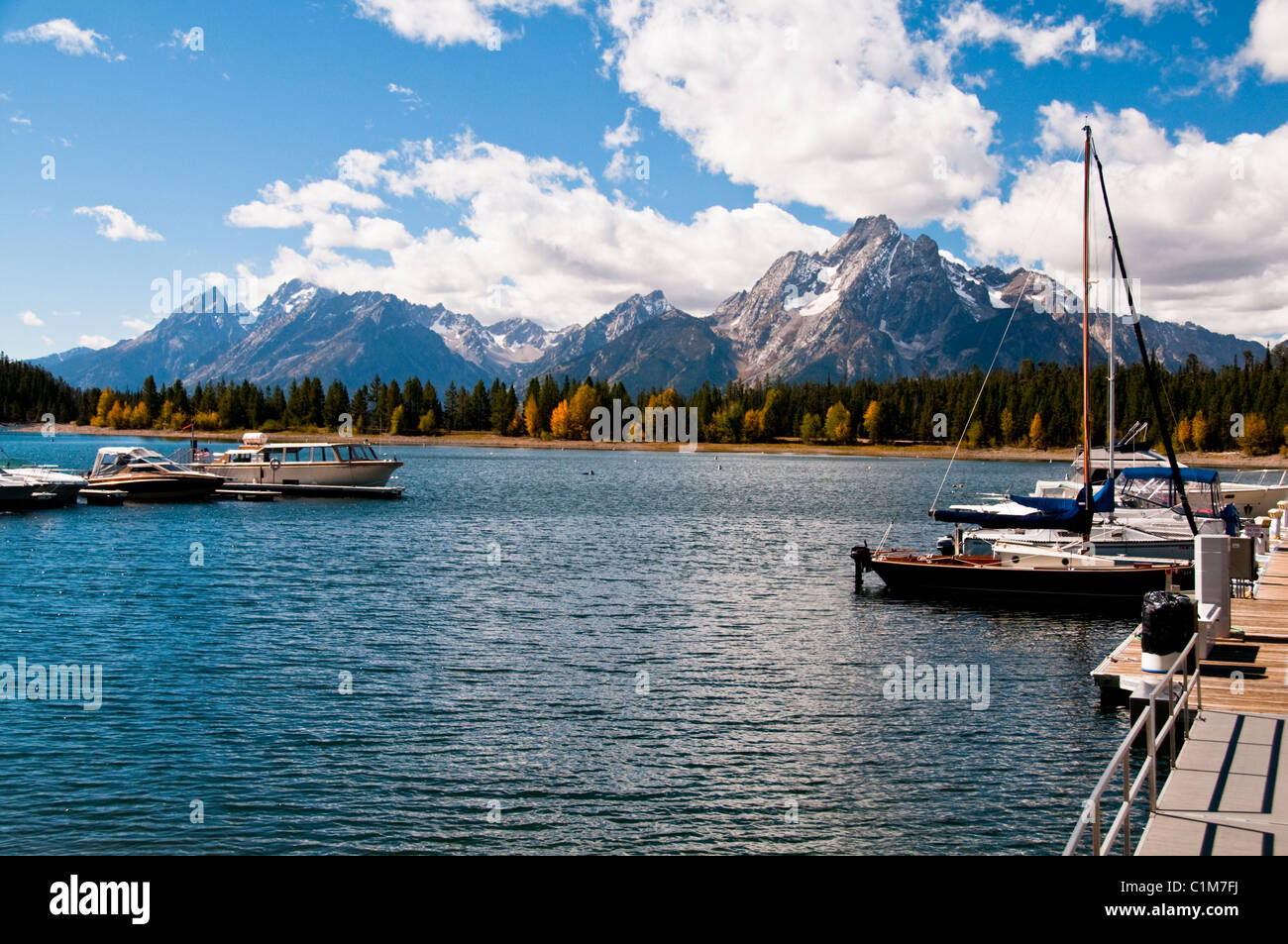 Colter Bay,leeks Marina,aspens In Fall Colours,colors,jackson Lake 