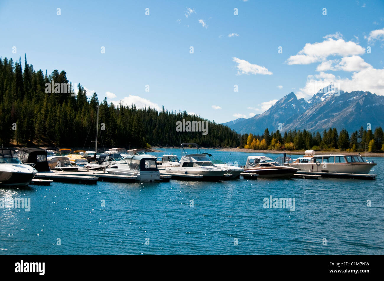 Colter Bay,Leeks Marina,Aspens in Fall Colours,Colors,Jackson Lake ...