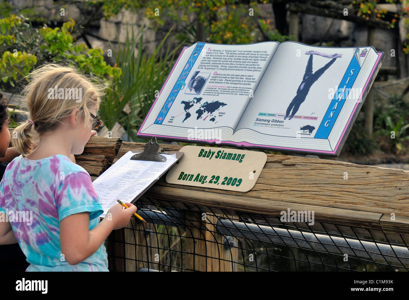 Lowry Park Zoo St Petersburg Florida child fills out a zoo checklist