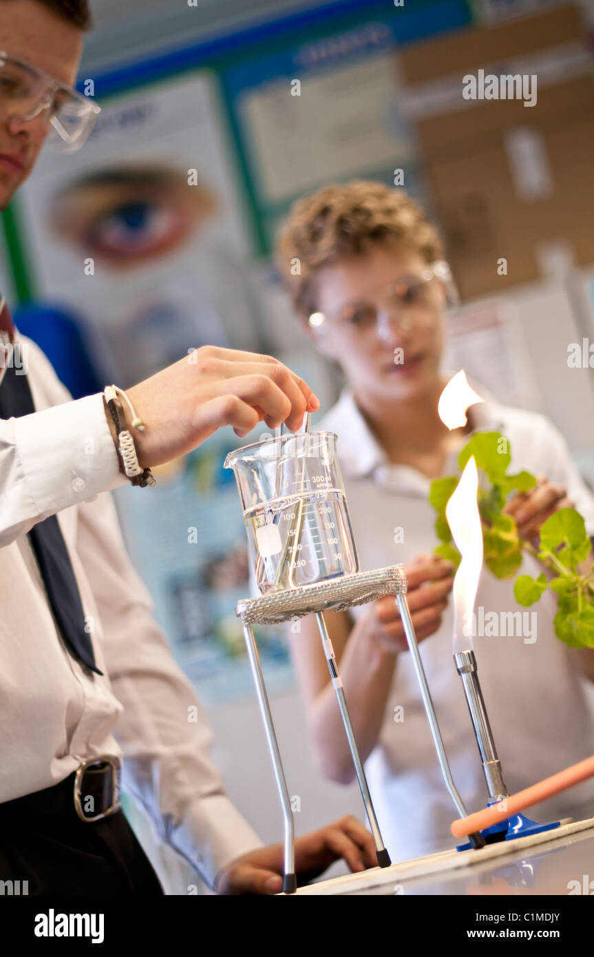 Two sixth form Pupils doing an experiment in a A level biology science practical class in a secondary school UK Stock Photo